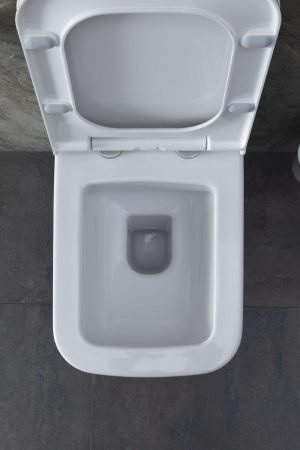 Фото унитаз с инсталляцией allen brau infinity. с гигиеническим душем