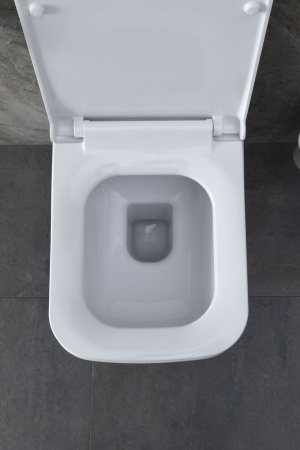 Фото унитаз с инсталляцией allen brau infinity. клавиша хром