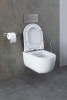 Фото унитаз с инсталляцией allen brau priority 00316509