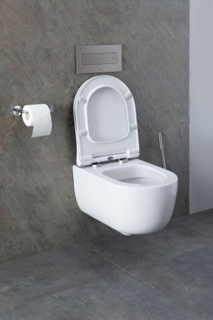 Фото унитаз с инсталляцией allen brau priority 00316509