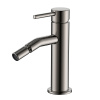 Смеситель для биде AQUAme Siena AQM6216GM, цвет: металл