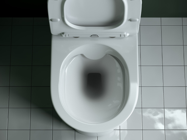 Фото унитаз-компакт, безободковый без бачка ceramicanova star cn1904-b