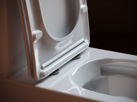 Фото унитаз-компакт, безободковый без бачка ceramicanova alfa cn9002-b
