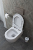 Фото унитаз с инсталляцией allen brau priority 00316509