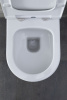 Фото унитаз с инсталляцией allen brau priority 00316508