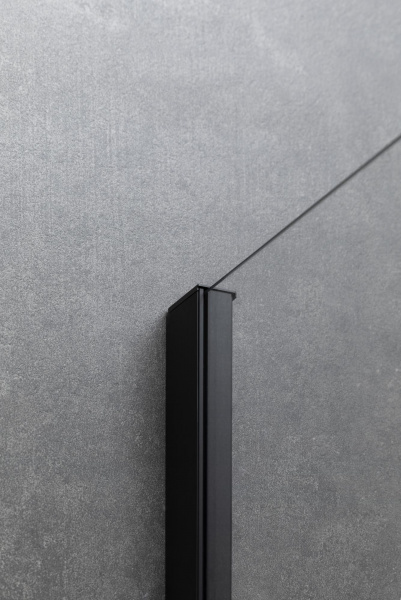 Фото душевая стенка allen brau priority 100 3.31048.bba черный