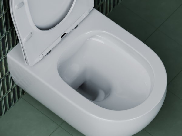 Фото унитаз подвесной, безободковый ceramicanova long cn3015